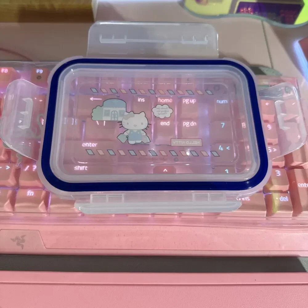 Hello Kitty Storage Container Glass Bento Box Food Lid 4 Flap Snap Sanrio 2023